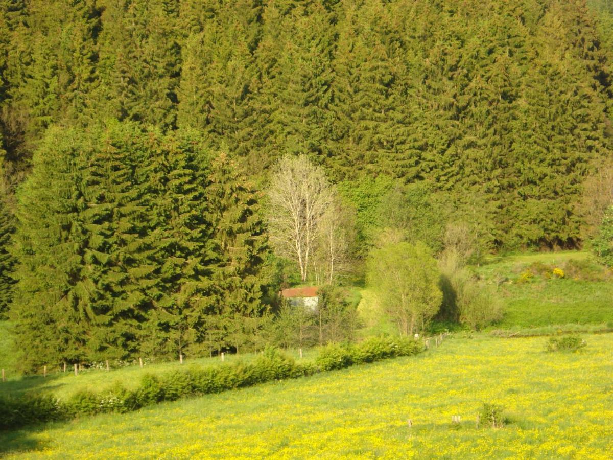 Location Panoramagreen Burg Reuland Exterior photo
